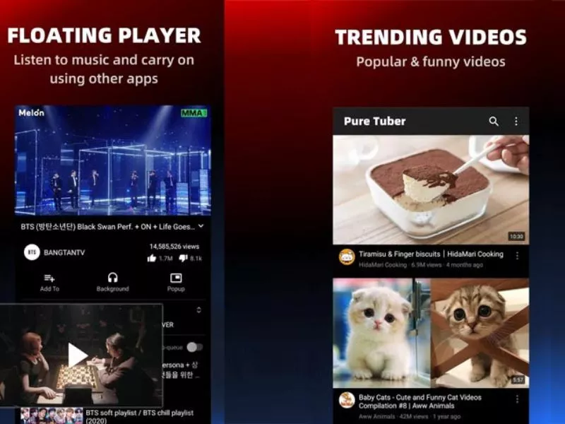 Các tính năng nổi bật của Pure Tuber Mod APK