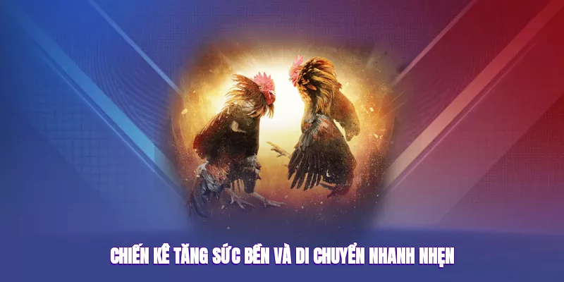 Vảy Gà Huyền Trâm – Bí Ẩn Đẳng Cấp Trong Sảnh Game Đá Gà 2 Chiến kê tăng sức bền và di chuyển nhanh nhẹn