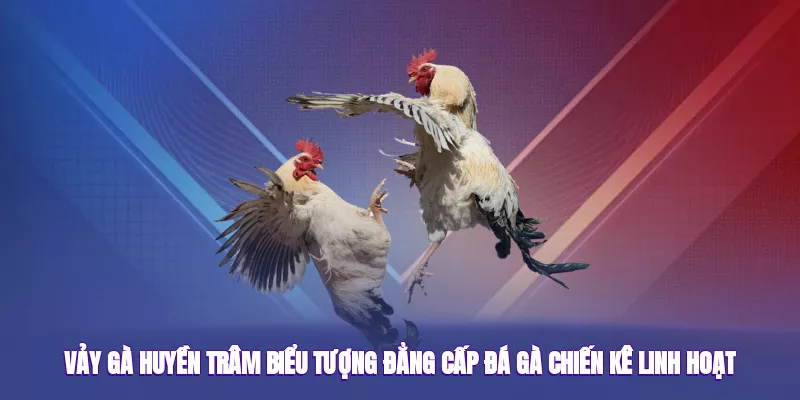 Vảy Gà Huyền Trâm – Bí Ẩn Đẳng Cấp Trong Sảnh Game Đá Gà 1 Vảy gà huyền trâm biểu tượng đẳng cấp đá gà chiến kê linh hoạt