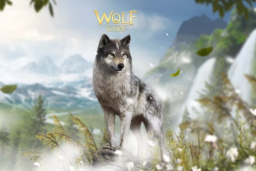 banner Hack The Wolf 1