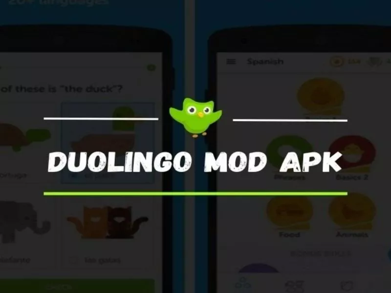 Lợi Ích Của Việc Sử Dụng Hack Duolingo